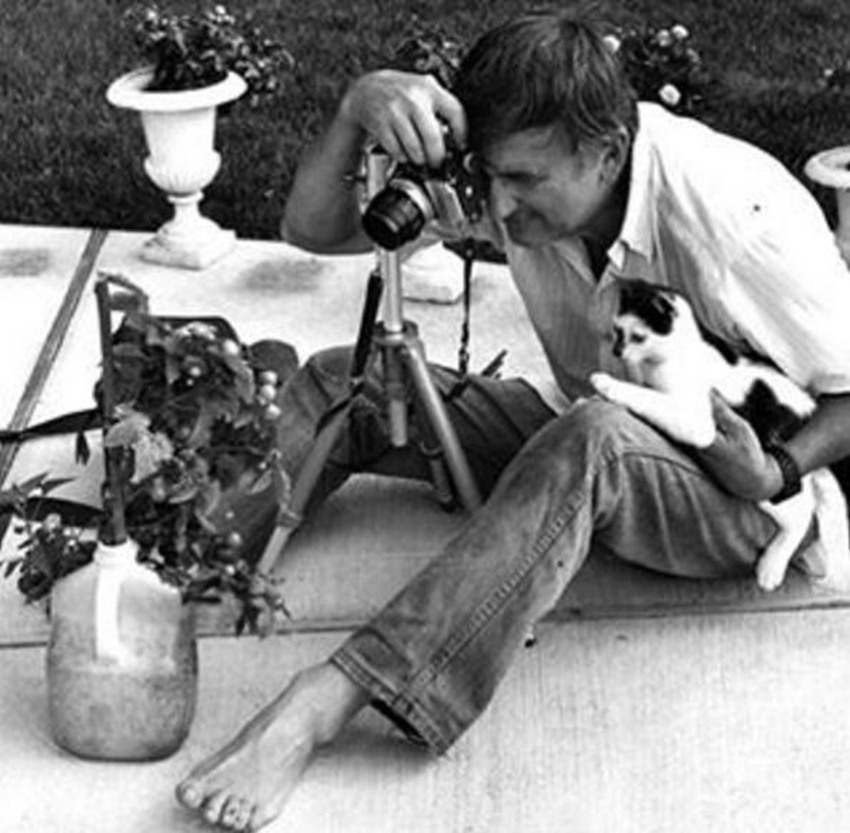 ??? ??? 70?? ??, 95? ??? ?? ?????