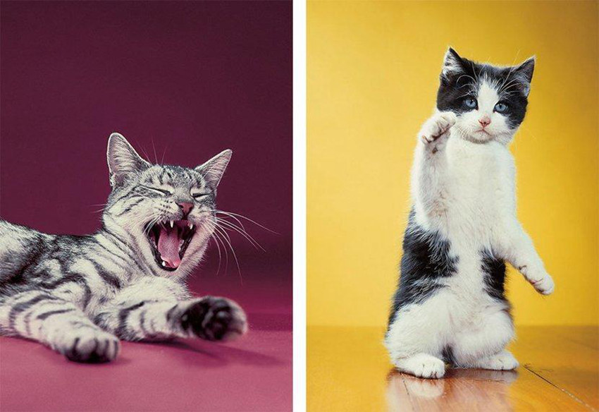 ??? ??? 70?? ??, 95? ??? ?? ?????