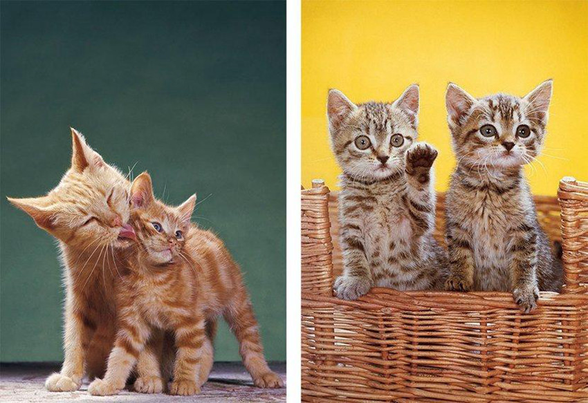 ??? ??? 70?? ??, 95? ??? ?? ?????