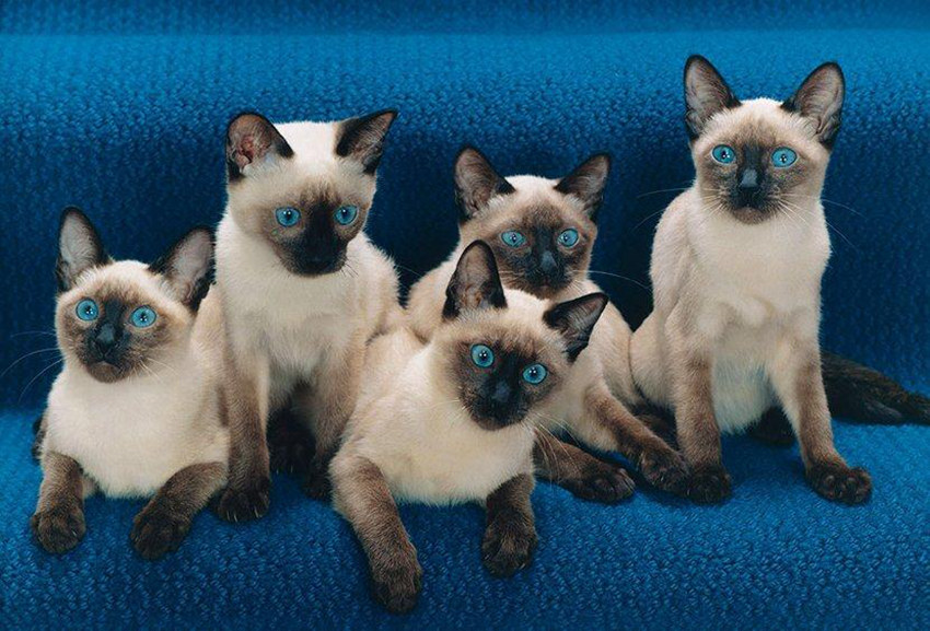 ??? ??? 70?? ??, 95? ??? ?? ?????