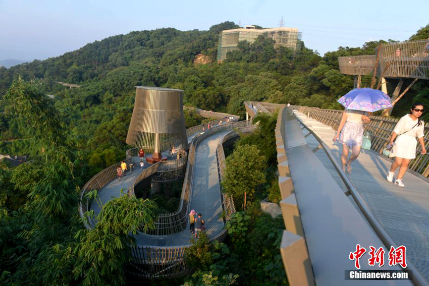 ??? ???, ??? ? ?? ??? ???