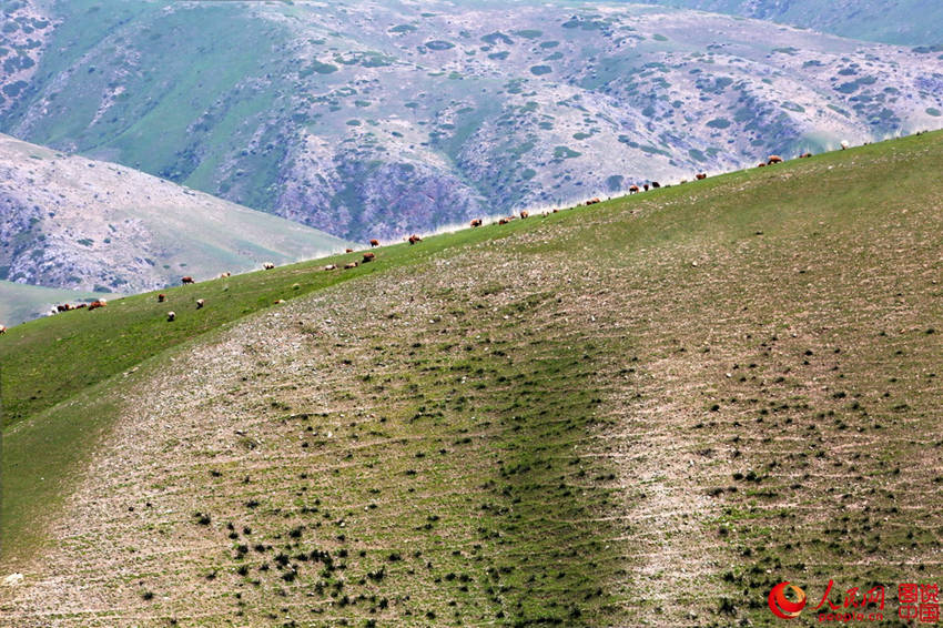 1?? 前 ??? ??? ???, ??? ???