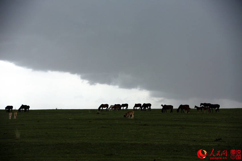 1?? 前 ??? ??? ???, ??? ???