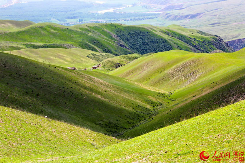 1?? 前 ??? ??? ???, ??? ???