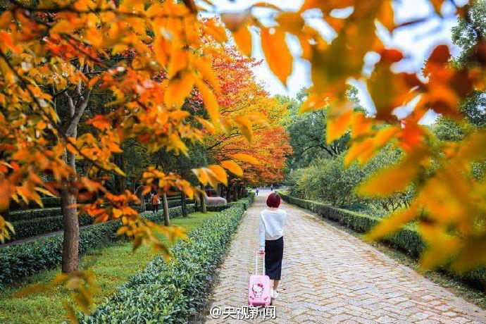 ‘?? ???? 600m’, ?? ??? ???? ?? ??