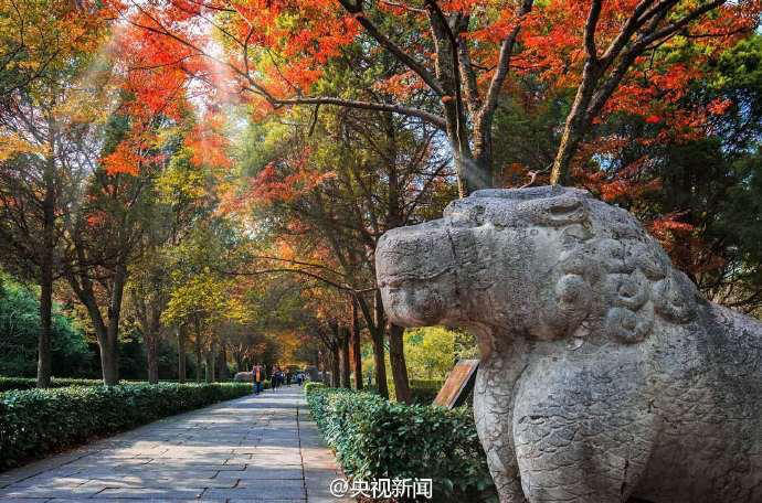 ‘?? ???? 600m’, ?? ??? ???? ?? ??