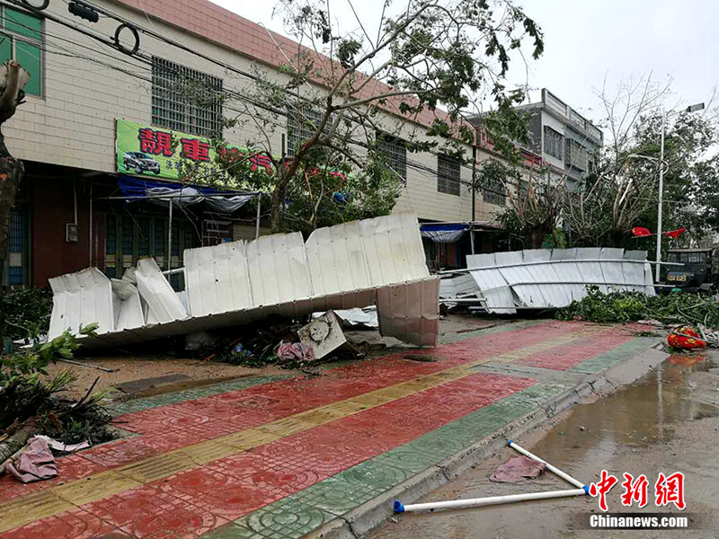 ?? ‘???’ ??? ??, 11? ?? ?? ?? ????