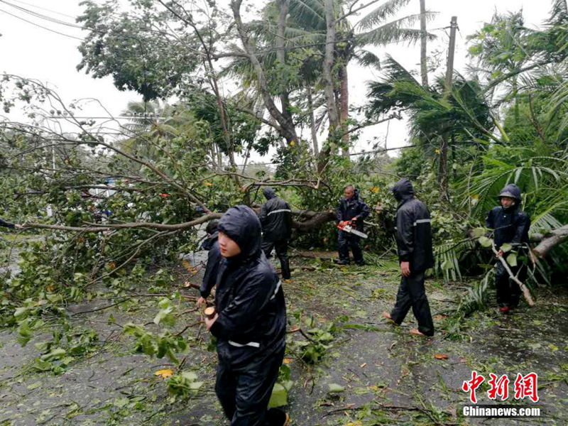 ?? ‘???’ ??? ??, 11? ?? ?? ?? ????