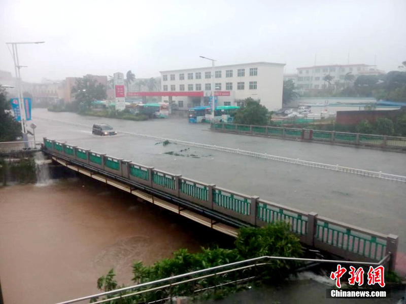 ?? ‘???’ ??? ??, 11? ?? ?? ?? ????