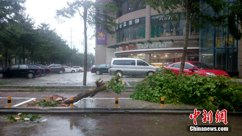 ?? ‘???’ ??? ??, 11? ?? ?? ?? ????