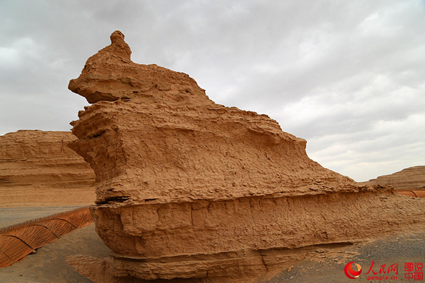 ?? ?? ?? ‘???’, ??? ?? ??