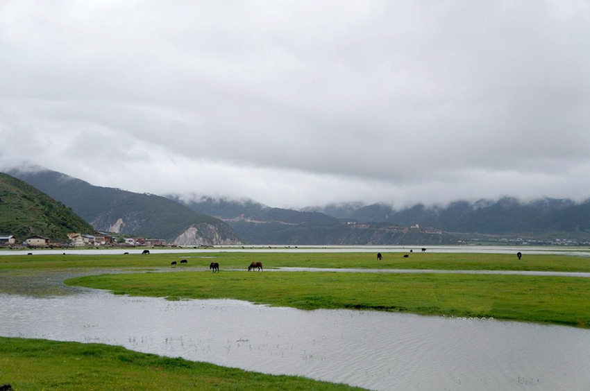 ?? ????, ‘??? ??’ ???? ??