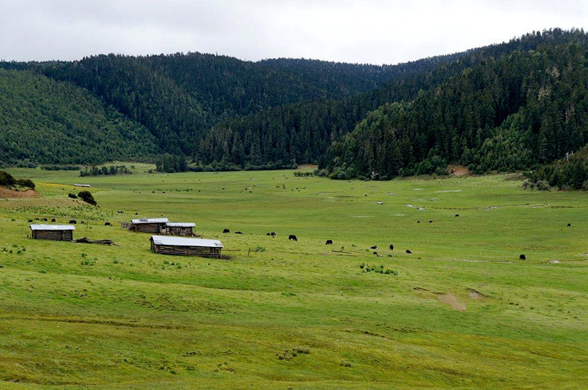 ?? ????, ‘??? ??’ ???? ??