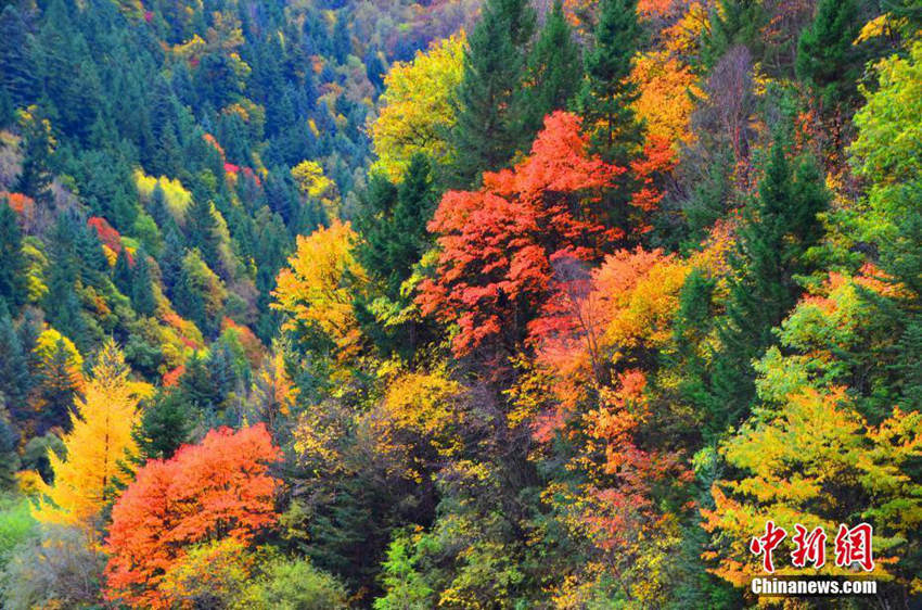 ?? ???? ??? ?? ??, ????? ???? ??