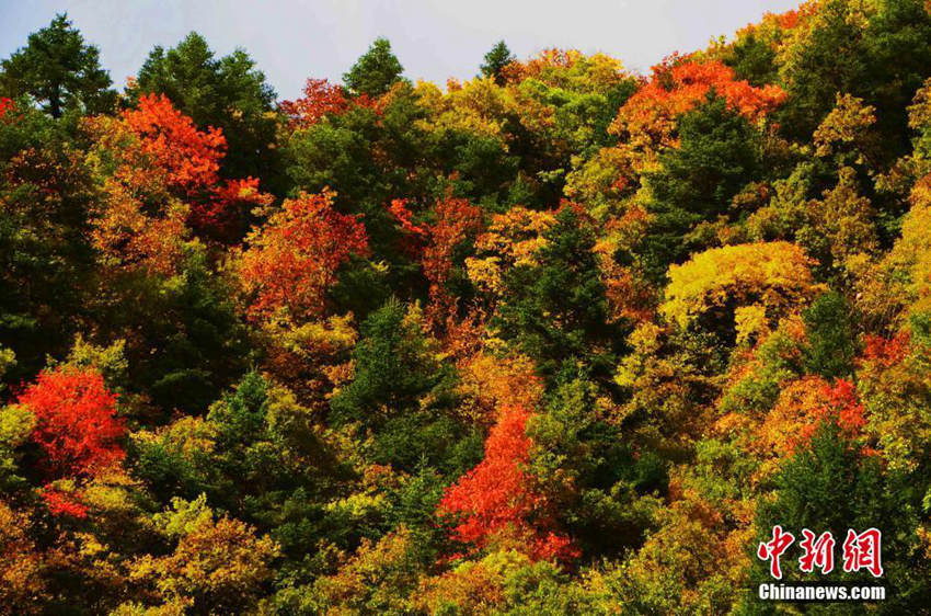 ?? ???? ??? ?? ??, ????? ???? ??