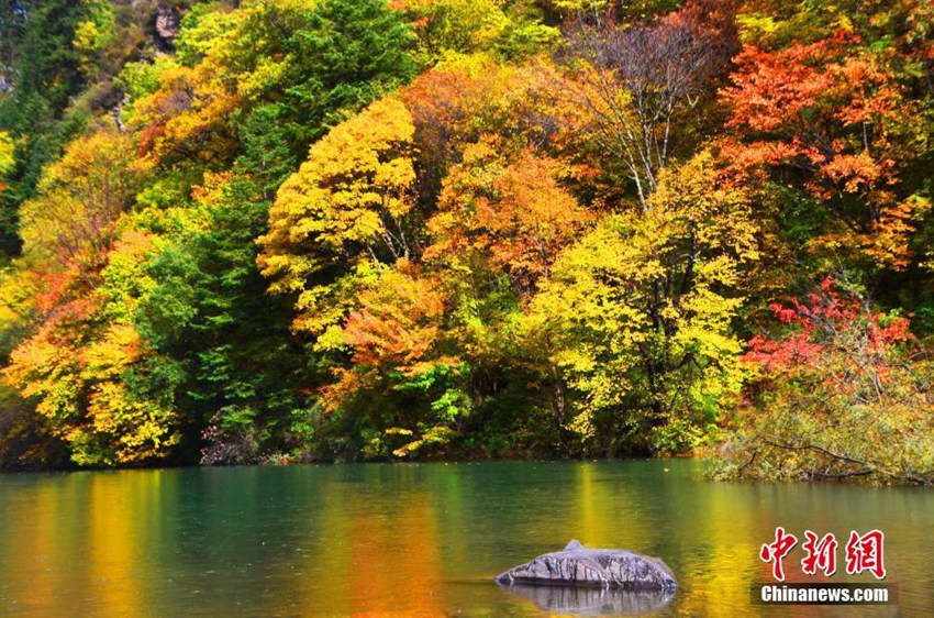 ?? ???? ??? ?? ??, ????? ???? ??