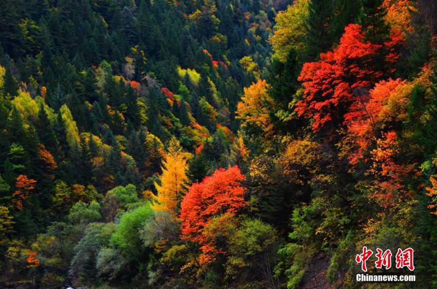 ?? ???? ??? ?? ??, ????? ???? ??