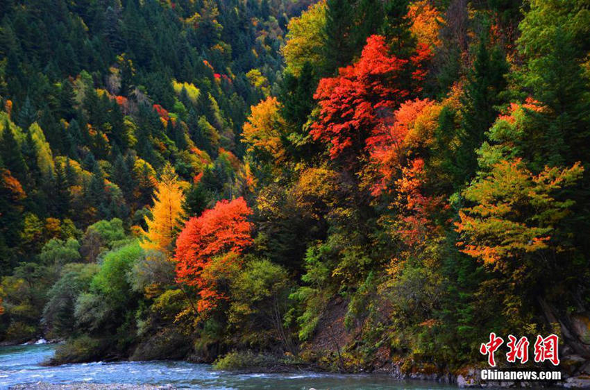 ?? ???? ??? ?? ??, ????? ???? ??