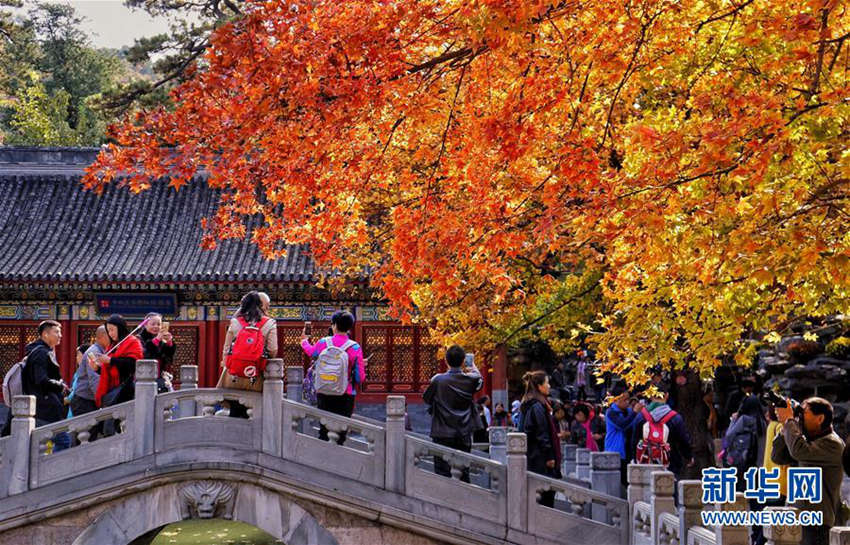 ???? ???: ???? ?? ??, ?? ??? 3?