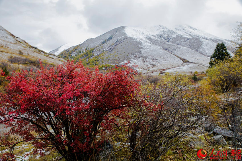 中 ?? ??, ??? ??? ????? ??? ???!