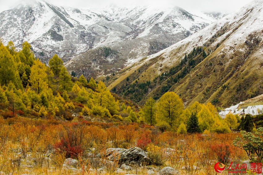 中 ?? ??, ??? ??? ????? ??? ???!