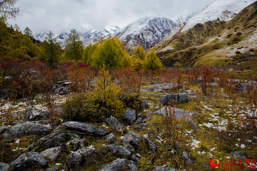 中 ?? ??, ??? ??? ????? ??? ???!