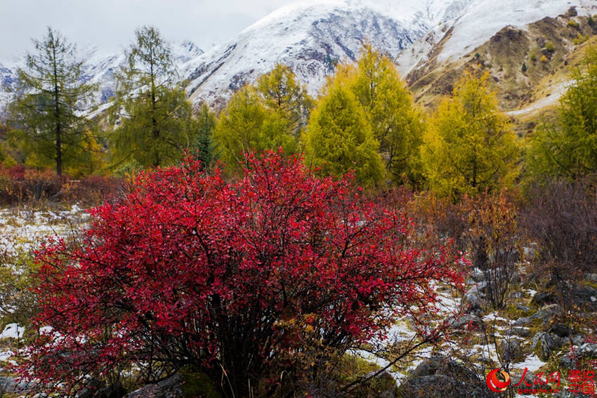 中 ?? ??, ??? ??? ????? ??? ???!