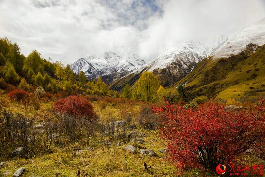 中 ?? ??, ??? ??? ????? ??? ???!