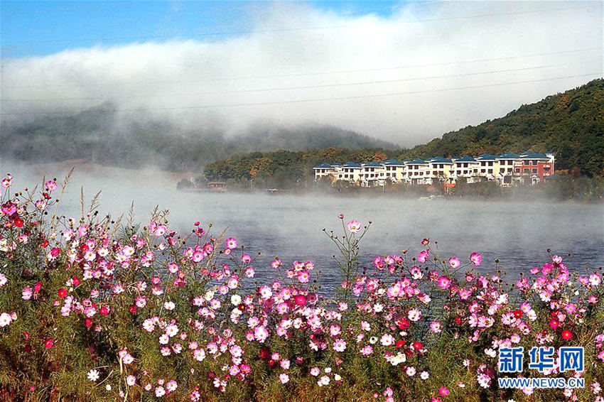 ?? ?? ???? ???? ?? ‘??? 美’