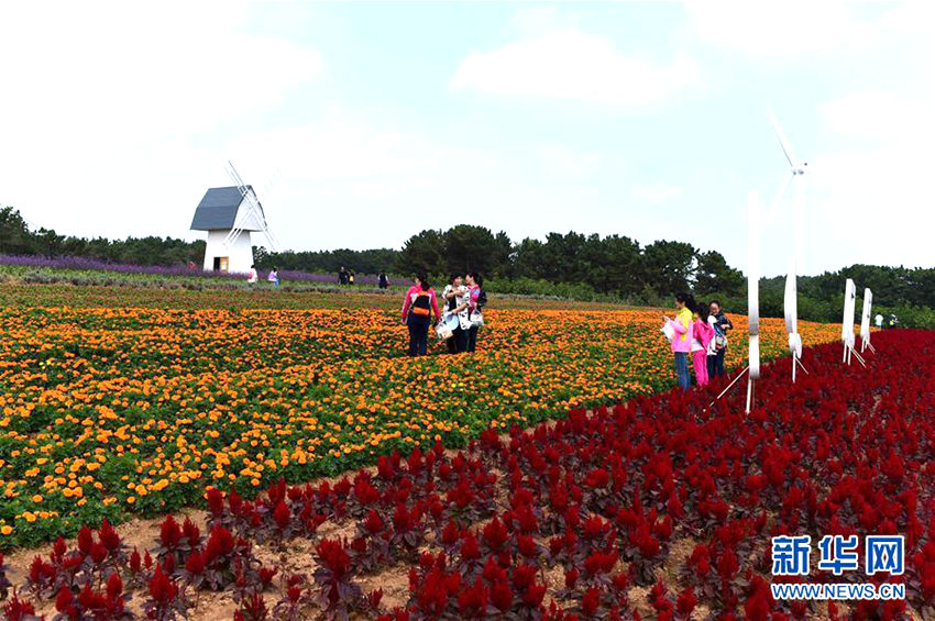 ?? ?? ???? ???? ?? ‘??? 美’