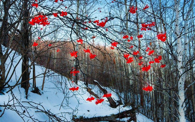 ???? ??, ?? ???? ?? ??? ??