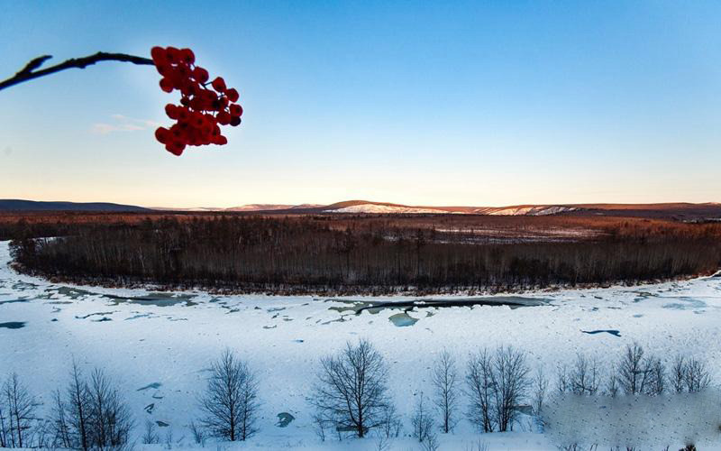 ???? ??, ?? ???? ?? ??? ??