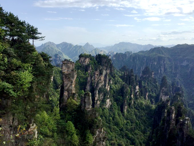 ?? ??? ???, ???? ‘?? ??’ ???