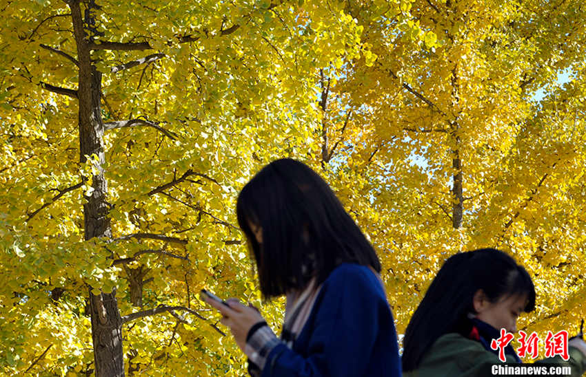 ? ??? ?? ????! ???? ?? ?? ?? ??