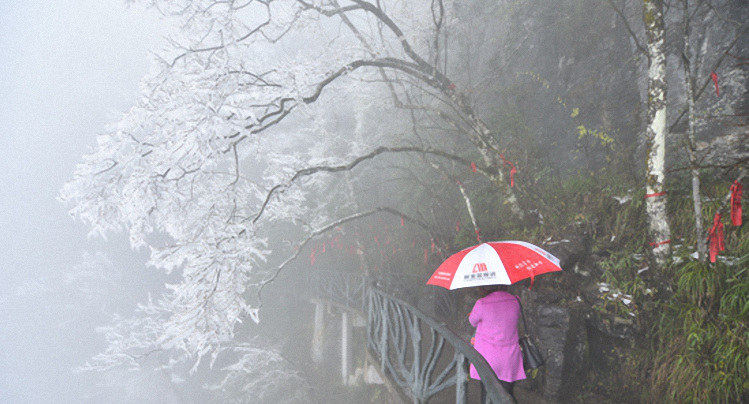 ??? ???? ??, ??? ?? ?? ??