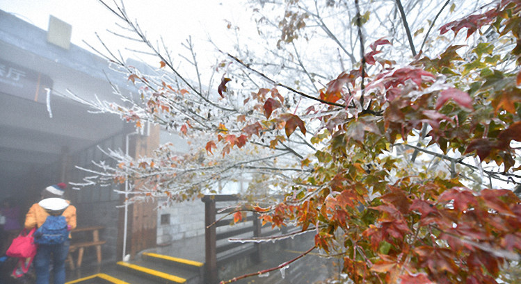 ??? ???? ??, ??? ?? ?? ??