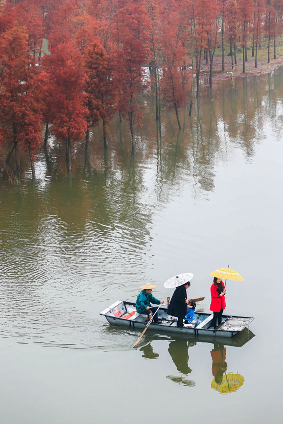 ?? ??? ????, ?? ?? ??? ?? ???? ??