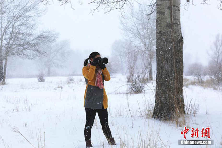 ??? ?? ?????? ?? ??, ??? ????!