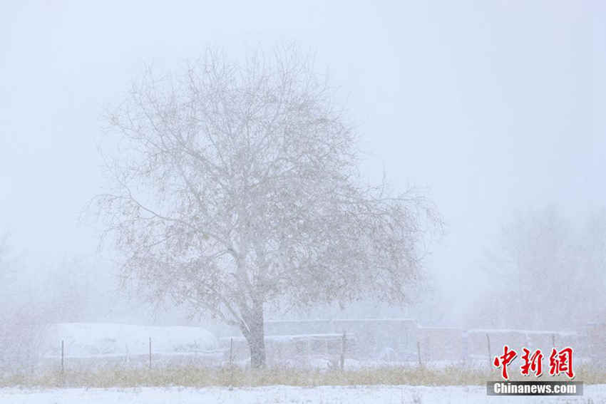 ??? ?? ?????? ?? ??, ??? ????!