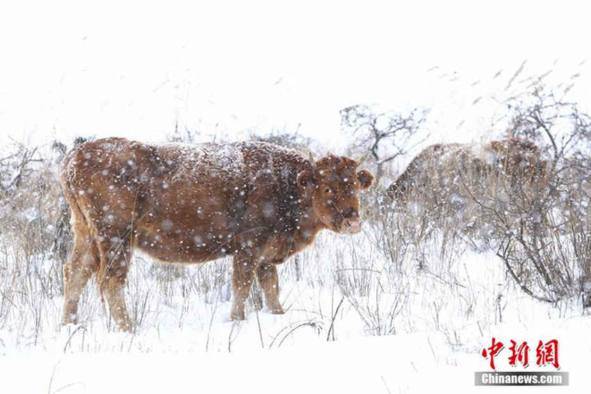 ??? ?? ?????? ?? ??, ??? ????!