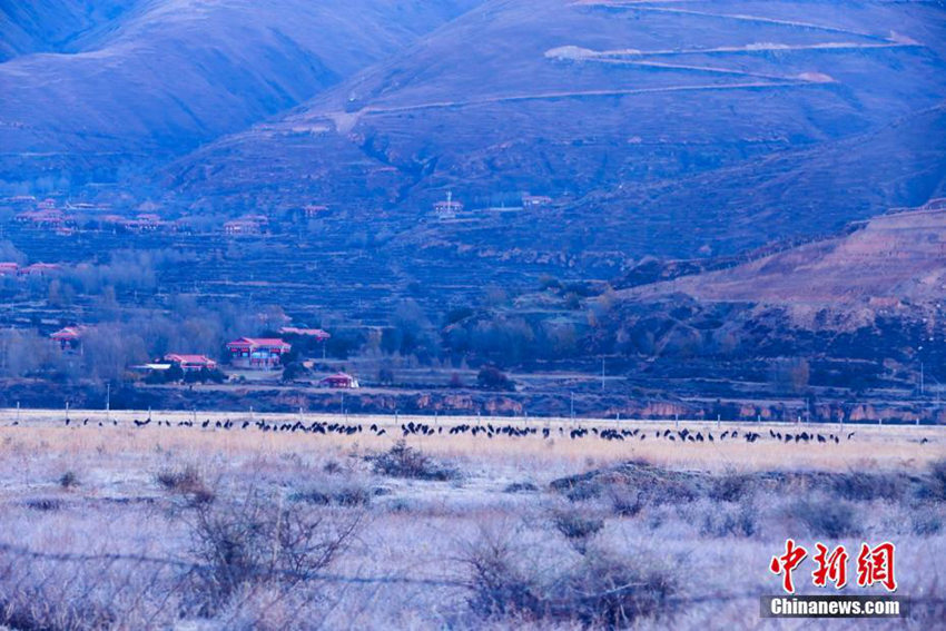 ?? ?? ???? ??, ????? ??? ???