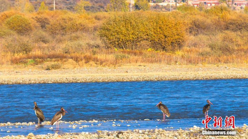 ?? ?? ???? ??, ????? ??? ???