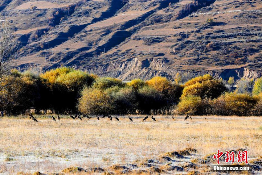 ?? ?? ???? ??, ????? ??? ???