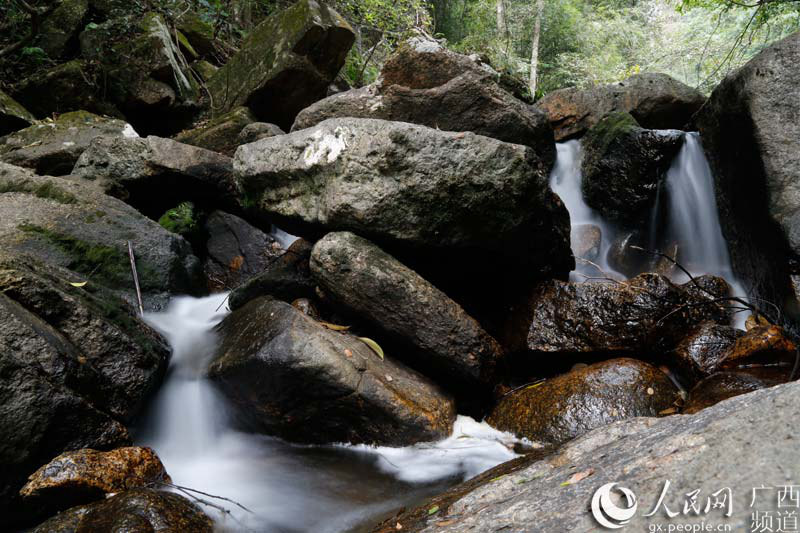 ???(姑婆山) ??????? ?? ??? ??