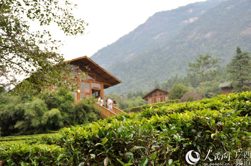 中 ?? ??? ‘?? ????’: ?? ????? ?? ?? ?? ???!