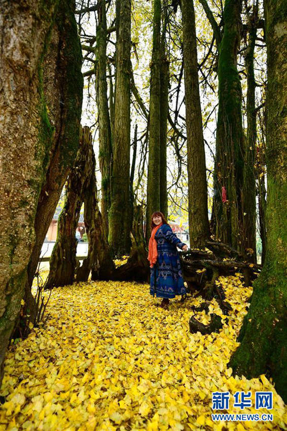 ??? ??? ??? 1500? ????