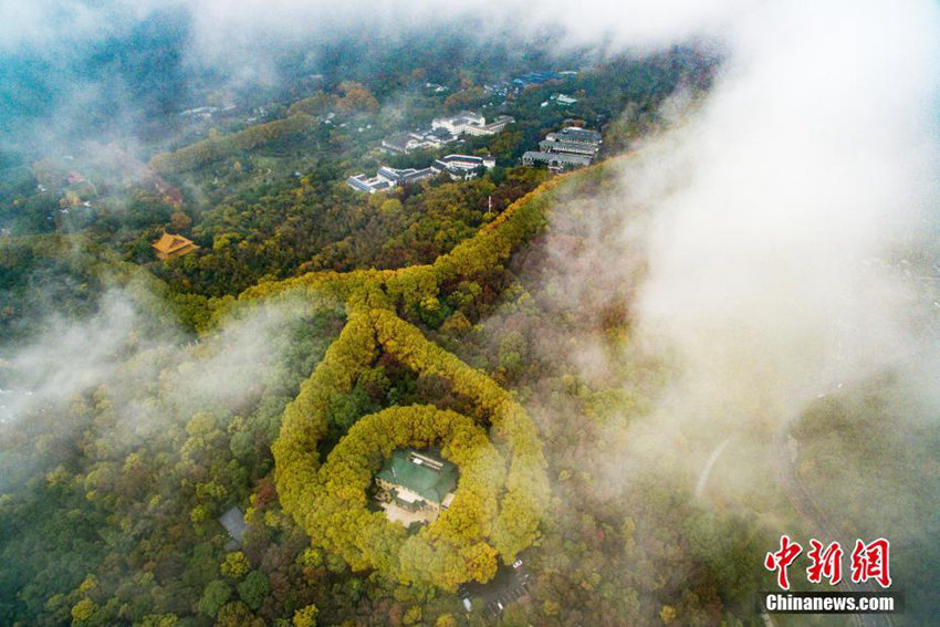 ??? ??? ??? ?? ???, ‘?? ???? ???’