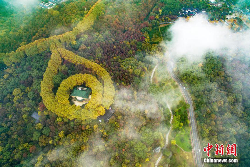 ??? ??? ??? ?? ???, ‘?? ???? ???’