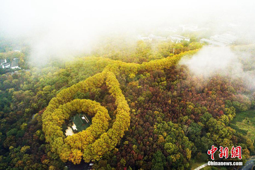 ??? ??? ??? ?? ???, ‘?? ???? ???’