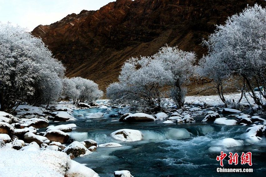 ?? ?????? ???? ??, ??? ? ??? ?????? ???